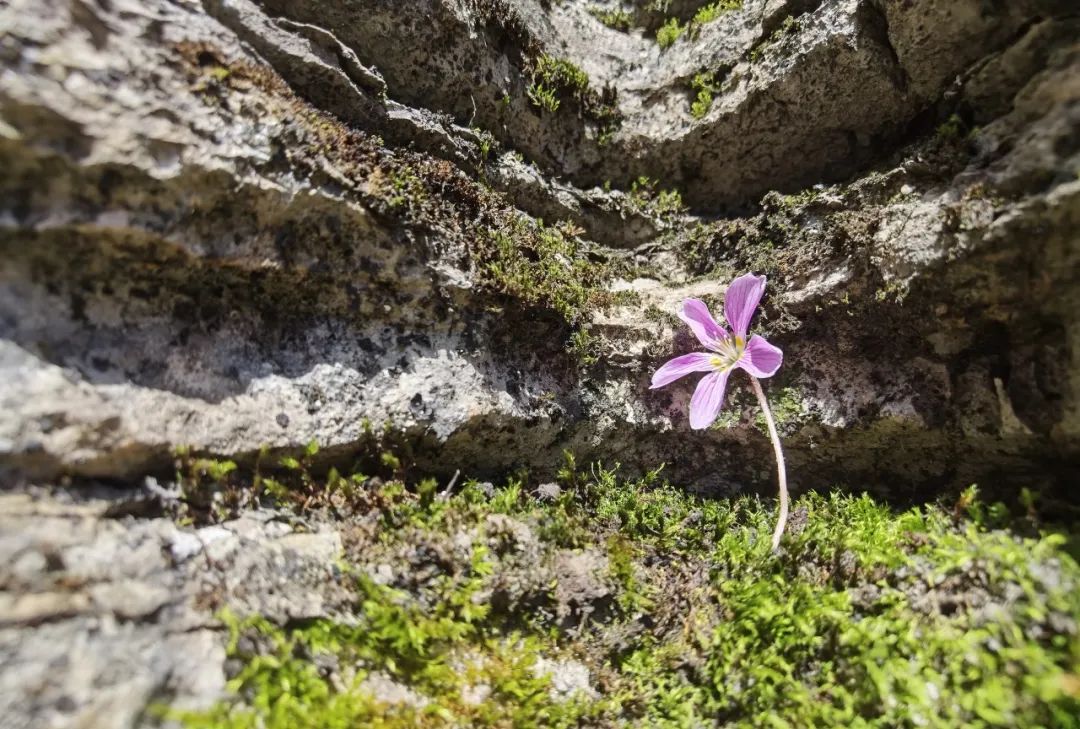 错峰出游 秘境恩施 已成行 欢迎加入丨2025-09-01  逃离都市,探索自然之美,挑战“湖北天路”自驾之旅w31.jpg
