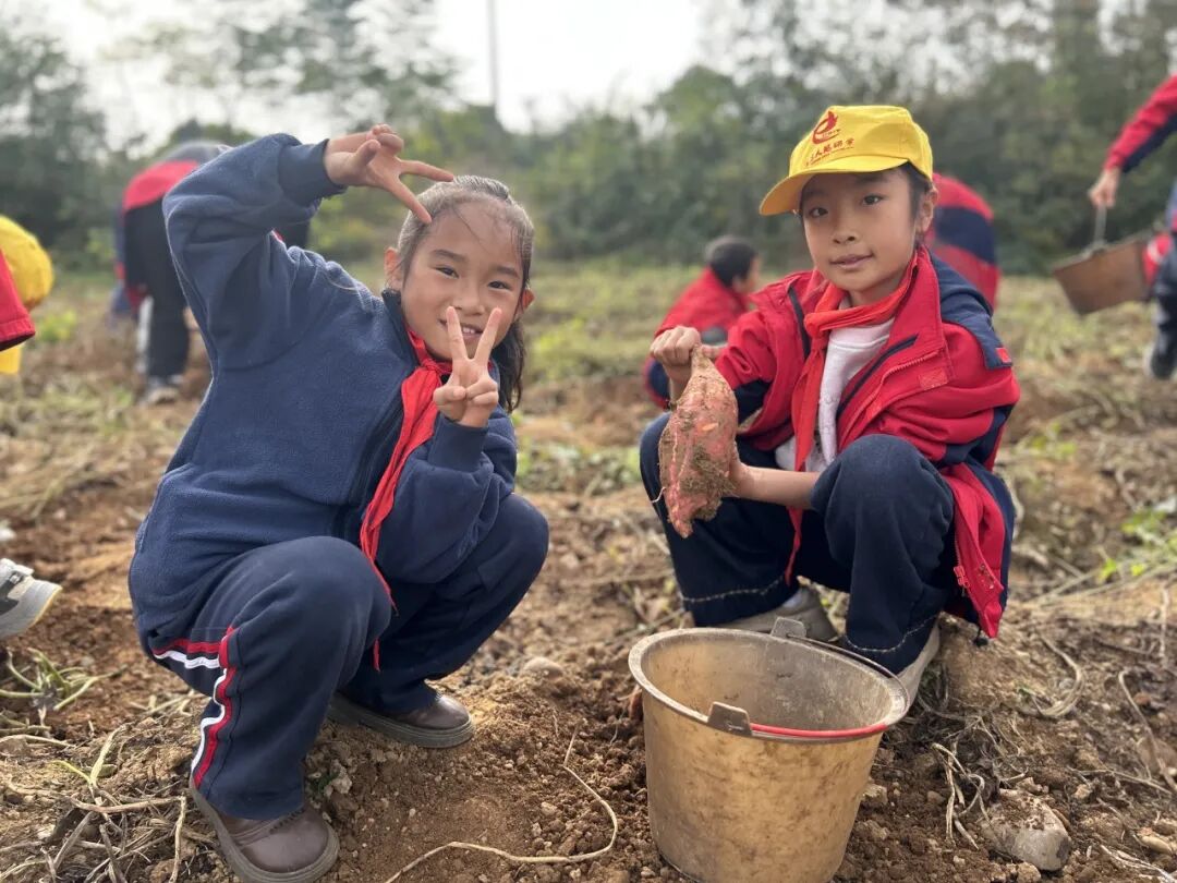 夷陵区冯家湾小学黄柏河校区四五六年级2025年秋季研学旅行活动圆满结束!w221.jpg