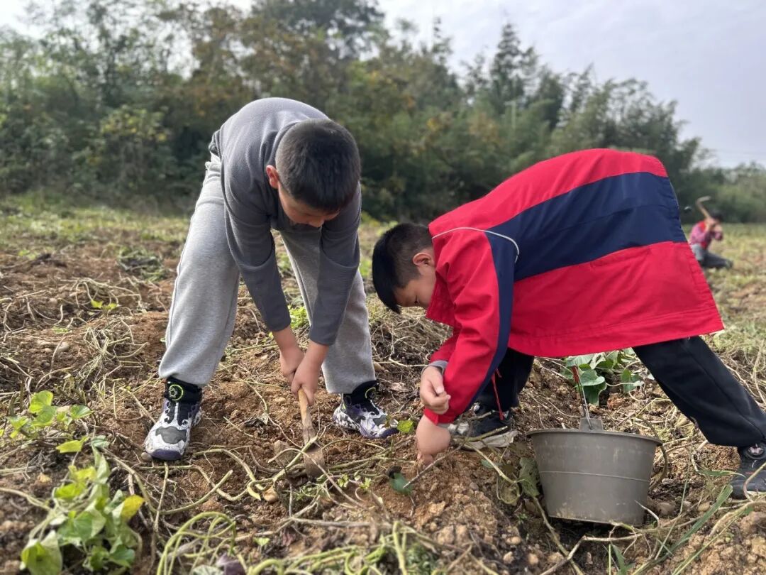 夷陵区冯家湾小学黄柏河校区四五六年级2025年秋季研学旅行活动圆满结束!w226.jpg