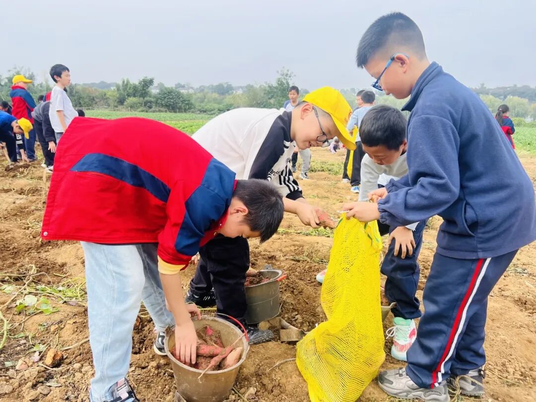 夷陵区冯家湾小学黄柏河校区四五六年级2025年秋季研学旅行活动圆满结束!w230.jpg