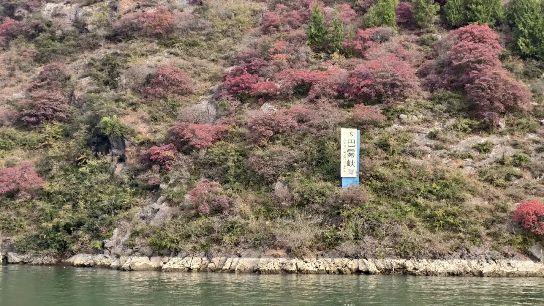 20251203半自驾观赏三峡红叶游记之一乘游轮观赏小三峡&小小三峡w34.jpg