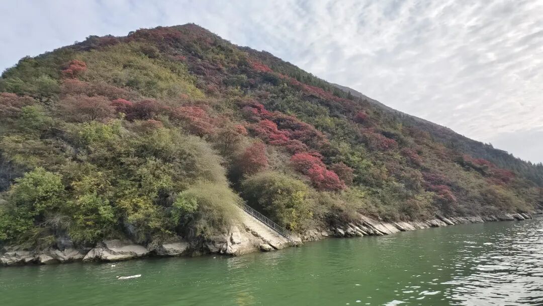 20251203半自驾观赏三峡红叶游记之一乘游轮观赏小三峡&小小三峡w36.jpg