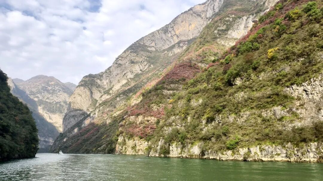 20251203半自驾观赏三峡红叶游记之一乘游轮观赏小三峡&小小三峡w40.jpg