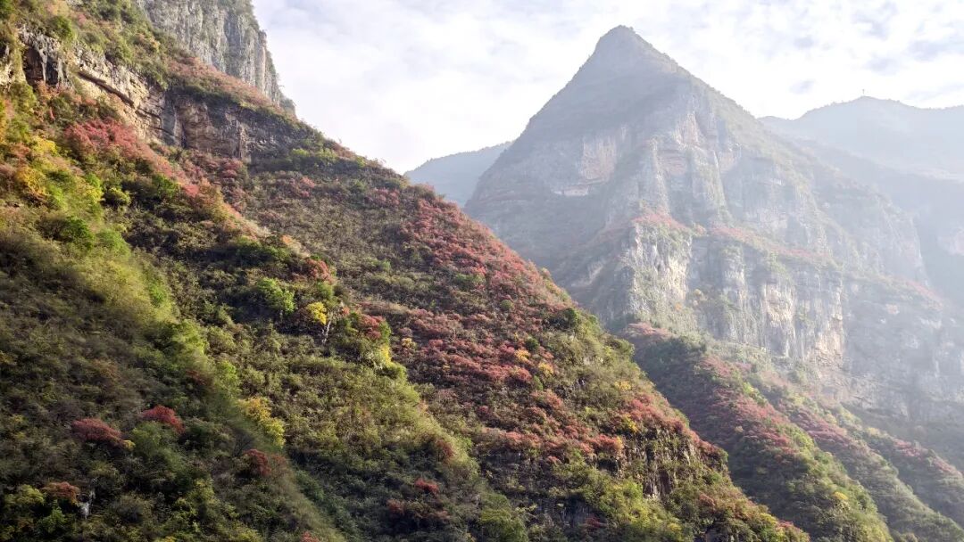 20251203半自驾观赏三峡红叶游记之一乘游轮观赏小三峡&小小三峡w45.jpg