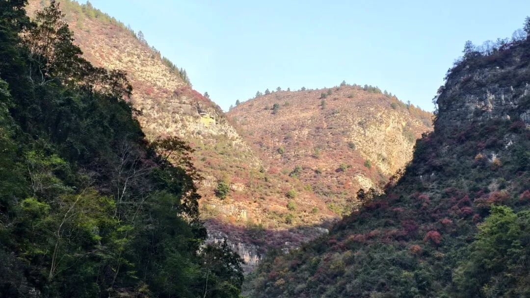 20251203半自驾观赏三峡红叶游记之一乘游轮观赏小三峡&小小三峡w64.jpg