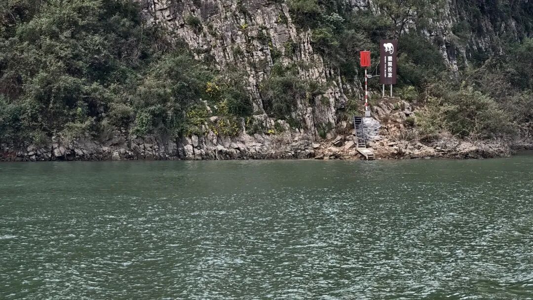 20251203半自驾观赏三峡红叶游记之一乘游轮观赏小三峡&小小三峡w93.jpg