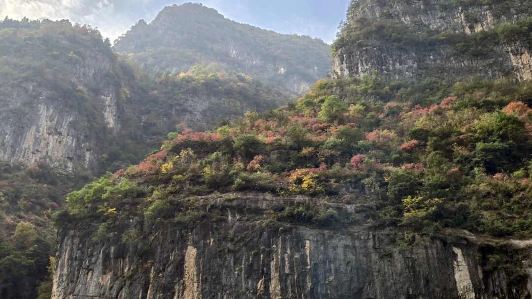 20251203半自驾观赏三峡红叶游记之一乘游轮观赏小三峡&小小三峡w110.jpg