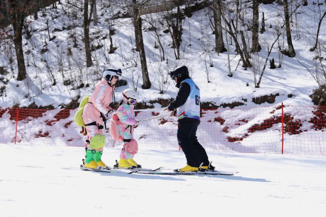 【2026冬令营 || 神农架5日营 】北纬30° 南方滑雪性价比之王,玩转2大雪场玩转,探访“原住民”野生金丝猴w42.jpg