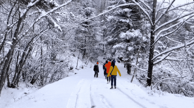 【2026冬令营 || 神农架5日营 】北纬30° 南方滑雪性价比之王,玩转2大雪场玩转,探访“原住民”野生金丝猴w56.jpg