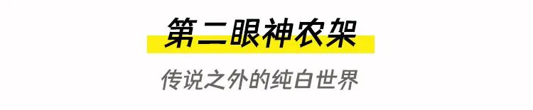 【2026冬令营 || 神农架5日营 】北纬30° 南方滑雪性价比之王,玩转2大雪场玩转,探访“原住民”野生金丝猴w60.jpg