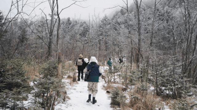 【2026冬令营 || 神农架5日营 】北纬30° 南方滑雪性价比之王,玩转2大雪场玩转,探访“原住民”野生金丝猴w59.jpg