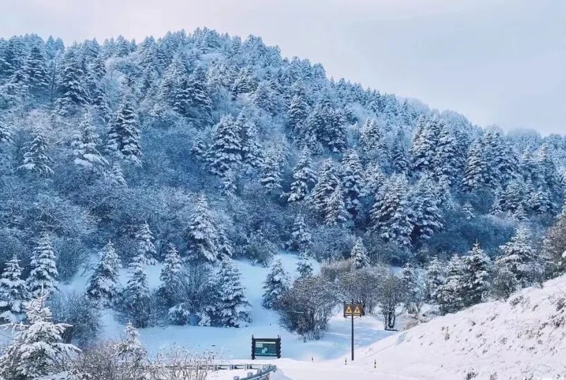 【2026冬令营 || 神农架5日营 】北纬30° 南方滑雪性价比之王,玩转2大雪场玩转,探访“原住民”野生金丝猴w65.jpg