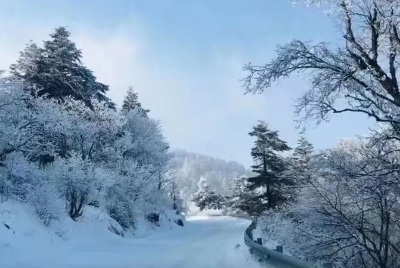 【2026冬令营 || 神农架5日营 】北纬30° 南方滑雪性价比之王,玩转2大雪场玩转,探访“原住民”野生金丝猴w66.jpg