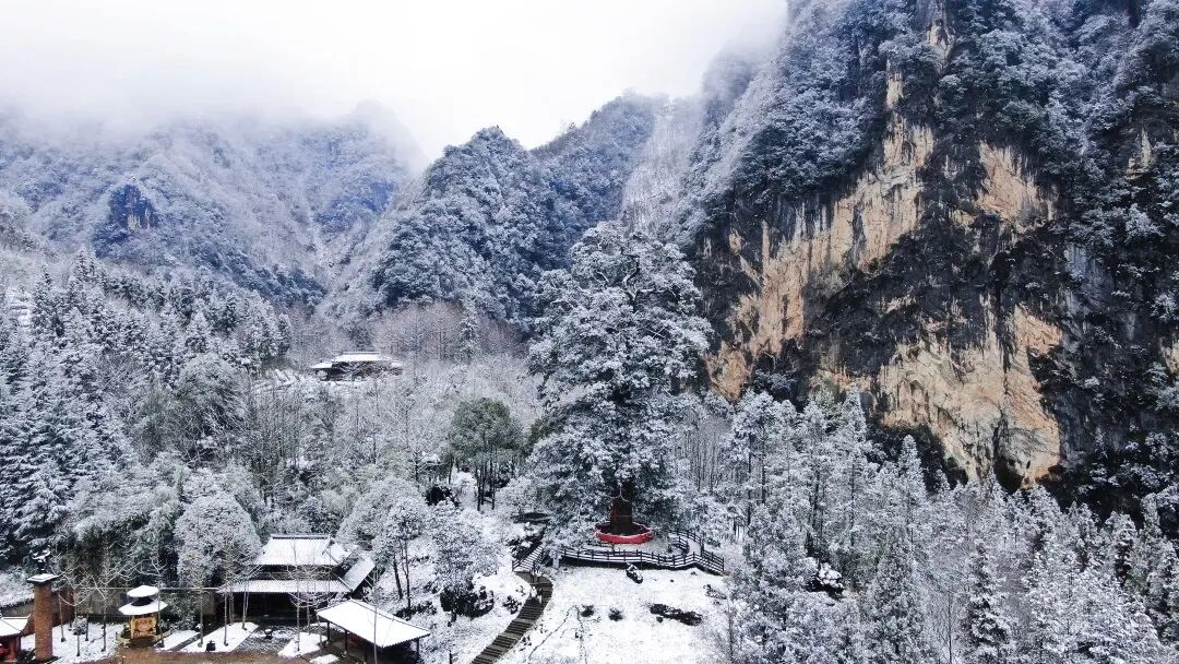 【2026冬令营 || 神农架5日营 】北纬30° 南方滑雪性价比之王,玩转2大雪场玩转,探访“原住民”野生金丝猴w69.jpg