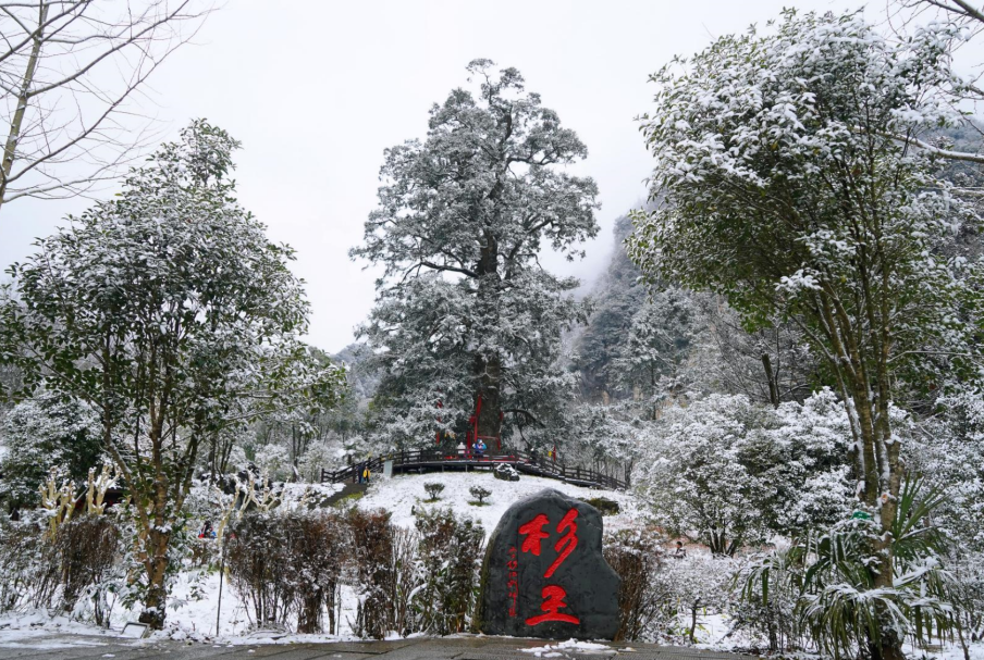 【2026冬令营 || 神农架5日营 】北纬30° 南方滑雪性价比之王,玩转2大雪场玩转,探访“原住民”野生金丝猴w71.jpg