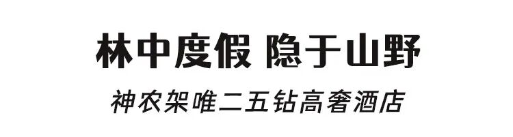 【2026冬令营 || 神农架5日营 】北纬30° 南方滑雪性价比之王,玩转2大雪场玩转,探访“原住民”野生金丝猴w91.jpg